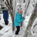 phoca_thumb_m_ledov krlovstv 2 12 Fotogalerie